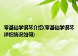 零基礎(chǔ)學(xué)鋼琴介紹(零基礎(chǔ)學(xué)鋼琴詳細(xì)情況如何)