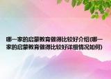 哪一家的啟蒙教育做得比較好介紹(哪一家的啟蒙教育做得比較好詳細情況如何)