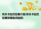 農(nóng)夫卡拉巴在哪介紹(農(nóng)夫卡拉巴在哪詳細(xì)情況如何)