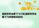 魔獸世界全圖飛飛介紹(魔獸世界全圖飛飛詳細情況如何)