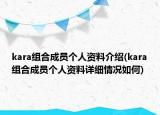 kara組合成員個人資料介紹(kara組合成員個人資料詳細(xì)情況如何)