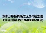 旅游上山遇到蟒蛇怎么辦介紹(旅游上山遇到蟒蛇怎么辦詳細(xì)情況如何)