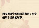 西安是哪個(gè)省份的城市啊（西安是哪個(gè)省份的城市）