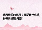 感恩母愛的意思（母愛是什么感謝母親 感恩母愛）