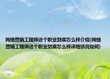 網(wǎng)絡(luò)營銷工程師這個職業(yè)到底怎么樣介紹(網(wǎng)絡(luò)營銷工程師這個職業(yè)到底怎么樣詳細情況如何)