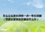 怎么讓頭發(fā)長得快一點一年長到腰（想要長發(fā)快快及腰該怎么辦）