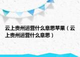 云上貴州運(yùn)營(yíng)什么意思蘋果（云上貴州運(yùn)營(yíng)什么意思）
