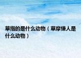 草指的是什么動(dòng)物（草摩慊人是什么動(dòng)物）