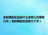 龍和蟒的區(qū)別是什么龍有幾爪蟒有幾爪（龍和蟒的區(qū)別有幾個爪）