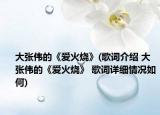 大張偉的《愛(ài)火燒》(歌詞介紹 大張偉的《愛(ài)火燒》 歌詞詳細(xì)情況如何)