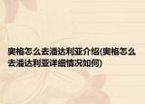 奧格怎么去潘達(dá)利亞介紹(奧格怎么去潘達(dá)利亞詳細(xì)情況如何)