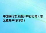 中國(guó)銀行怎么查開(kāi)戶(hù)行行號(hào)（怎么查開(kāi)戶(hù)行行號(hào)）