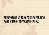 杜甫寫給妻子的詩.急介紹(杜甫寫給妻子的詩.急詳細情況如何)