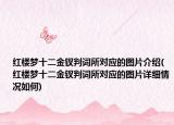 紅樓夢十二金釵判詞所對應(yīng)的圖片介紹(紅樓夢十二金釵判詞所對應(yīng)的圖片詳細(xì)情況如何)