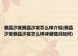 傲品沙發(fā)傲品沙發(fā)怎么樣介紹(傲品沙發(fā)傲品沙發(fā)怎么樣詳細情況如何)