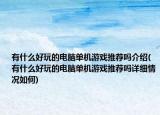 有什么好玩的電腦單機(jī)游戲推薦嗎介紹(有什么好玩的電腦單機(jī)游戲推薦嗎詳細(xì)情況如何)