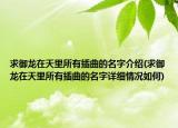 求御龍在天里所有插曲的名字介紹(求御龍在天里所有插曲的名字詳細情況如何)