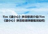 Tim《請小心》拼音歌詞介紹(Tim《請小心》拼音歌詞詳細情況如何)