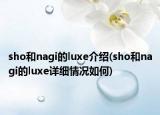 sho和nagi的luxe介紹(sho和nagi的luxe詳細情況如何)