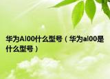 華為Al00什么型號(hào)（華為al00是什么型號(hào)）