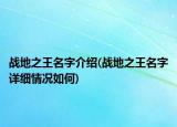 戰(zhàn)地之王名字介紹(戰(zhàn)地之王名字詳細情況如何)