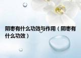 陰棗有什么功效與作用（陰棗有什么功效）