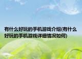 有什么好玩的手機游戲介紹(有什么好玩的手機游戲詳細情況如何)