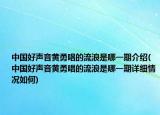 中國好聲音黃勇唱的流浪是哪一期介紹(中國好聲音黃勇唱的流浪是哪一期詳細(xì)情況如何)