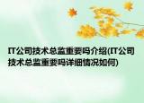 IT公司技術(shù)總監(jiān)重要嗎介紹(IT公司技術(shù)總監(jiān)重要嗎詳細情況如何)