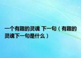 一個(gè)有趣的靈魂 下一句（有趣的靈魂下一句是什么）