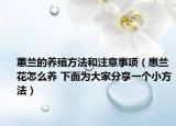 蕙蘭的養(yǎng)殖方法和注意事項(xiàng)（惠蘭花怎么養(yǎng) 下面為大家分享一個(gè)小方法）
