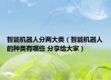 智能機(jī)器人分兩大類（智能機(jī)器人的種類有哪些 分享給大家）