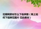 花瓣網(wǎng)素材怎么下載原圖（網(wǎng)上如何下載鮮花圖片 花的素材）
