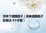 怎樣下酒釀圓子（簡單酒釀圓子的做法 8個步驟）