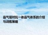 霸氣塔對(duì)抗一體霸氣體系的介紹與訓(xùn)練策略
