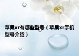 蘋果xr有哪些型號（蘋果xr手機型號介紹）