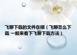 飛聊下載的文件在哪（飛聊怎么下載 一起來看下飛聊下載方法）