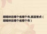 胡楊林在哪個省哪個市,旅游景點（胡楊林在哪個省哪個市）