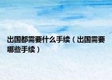 出國都需要什么手續(xù)（出國需要哪些手續(xù)）