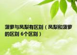 菠蘿與鳳梨有區(qū)別（鳳梨和菠蘿的區(qū)別 6個區(qū)別）