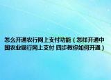 怎么開通農(nóng)行網(wǎng)上支付功能（怎樣開通中國農(nóng)業(yè)銀行網(wǎng)上支付 四步教你如何開通）