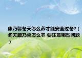 康乃馨冬天怎么養(yǎng)才能安全過冬?（冬天康乃馨怎么養(yǎng) 要注意哪些問題）