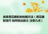 畫意荷花攝影的拍攝方法（荷花攝影技巧 如何拍出新義 注意幾點）