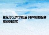 蘭花怎么養(yǎng)才能活 具體需要控制哪些因素呢