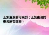 王凱主演的電視?。ㄍ鮿P主演的電視劇有哪些）