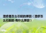 濕疹是怎么引起的原因（濕疹怎么引起的 有什么原因）