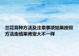 蘭花育種方法及注意事項(xiàng)如果按照方法走結(jié)果肯定大不一樣