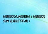 長(zhǎng)壽花怎么養(yǎng)花期長(zhǎng)（長(zhǎng)壽花怎么養(yǎng) 注意以下幾點(diǎn)）