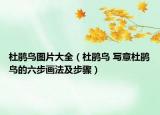 杜鵑鳥(niǎo)圖片大全（杜鵑鳥(niǎo) 寫意杜鵑鳥(niǎo)的六步畫法及步驟）