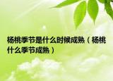 楊桃季節(jié)是什么時(shí)候成熟（楊桃什么季節(jié)成熟）